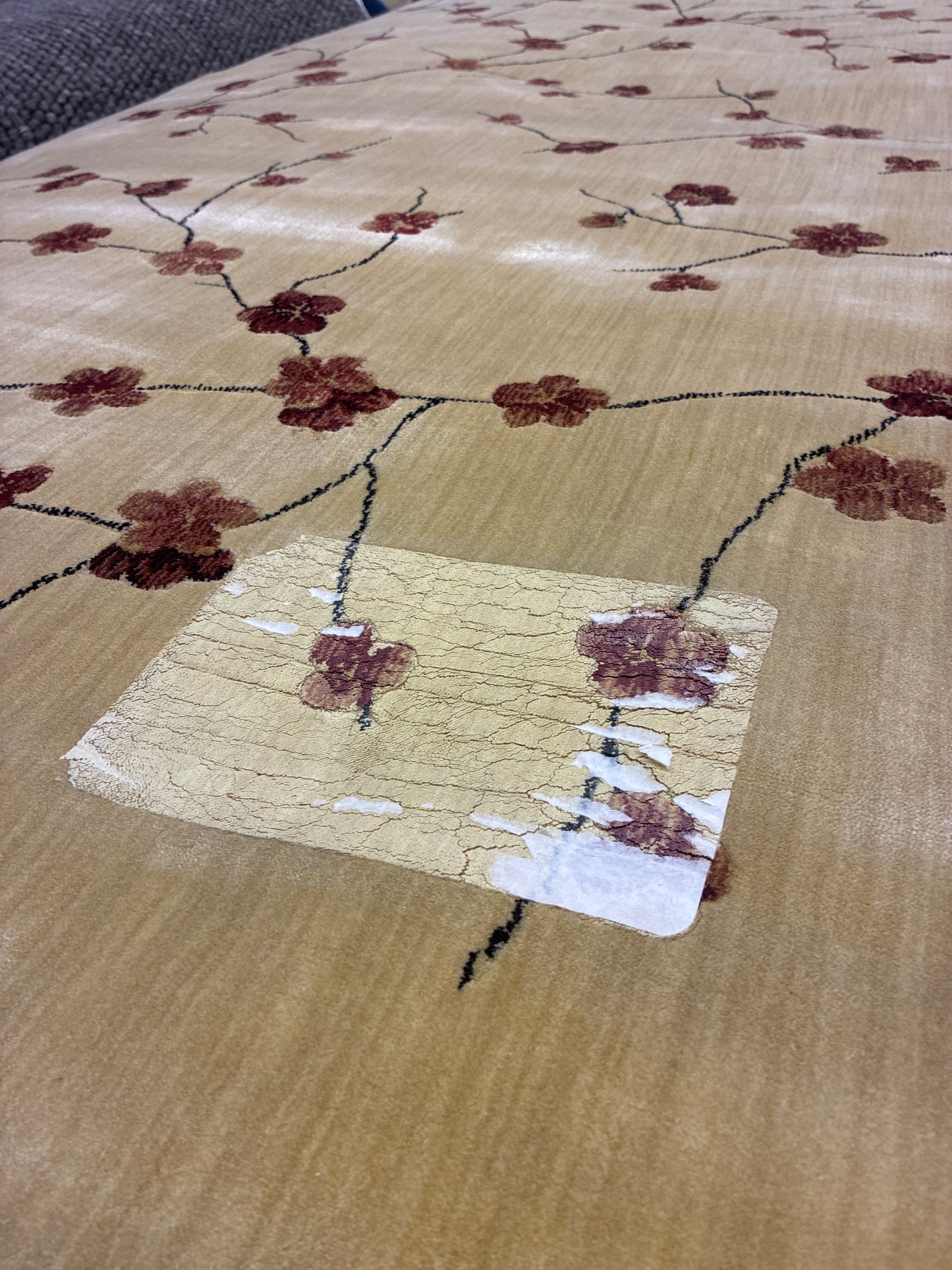 5 x 7 Area Rug AS IS stained and residue | ID 14589