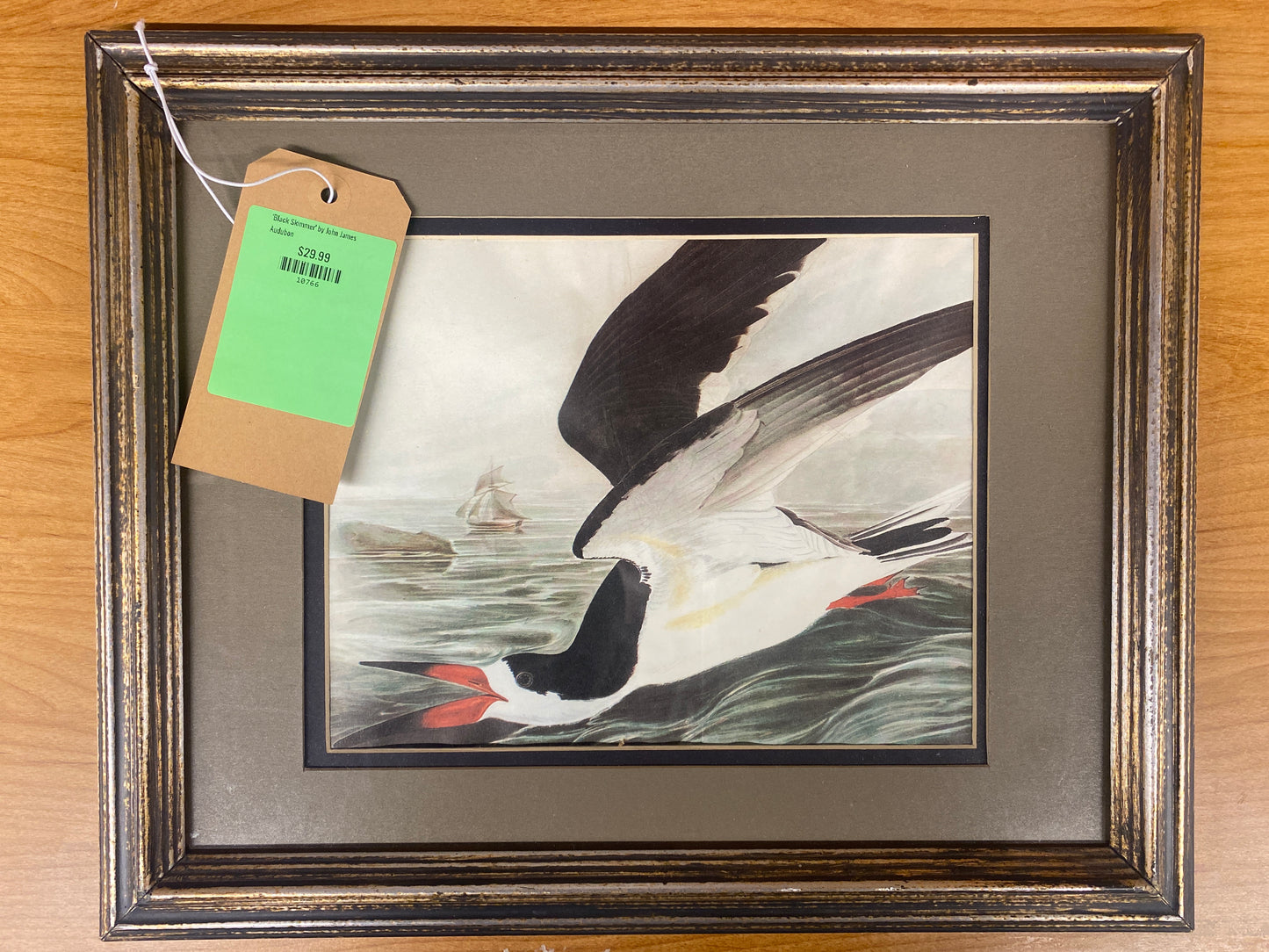 'Black Skimmer' by John James Audubon