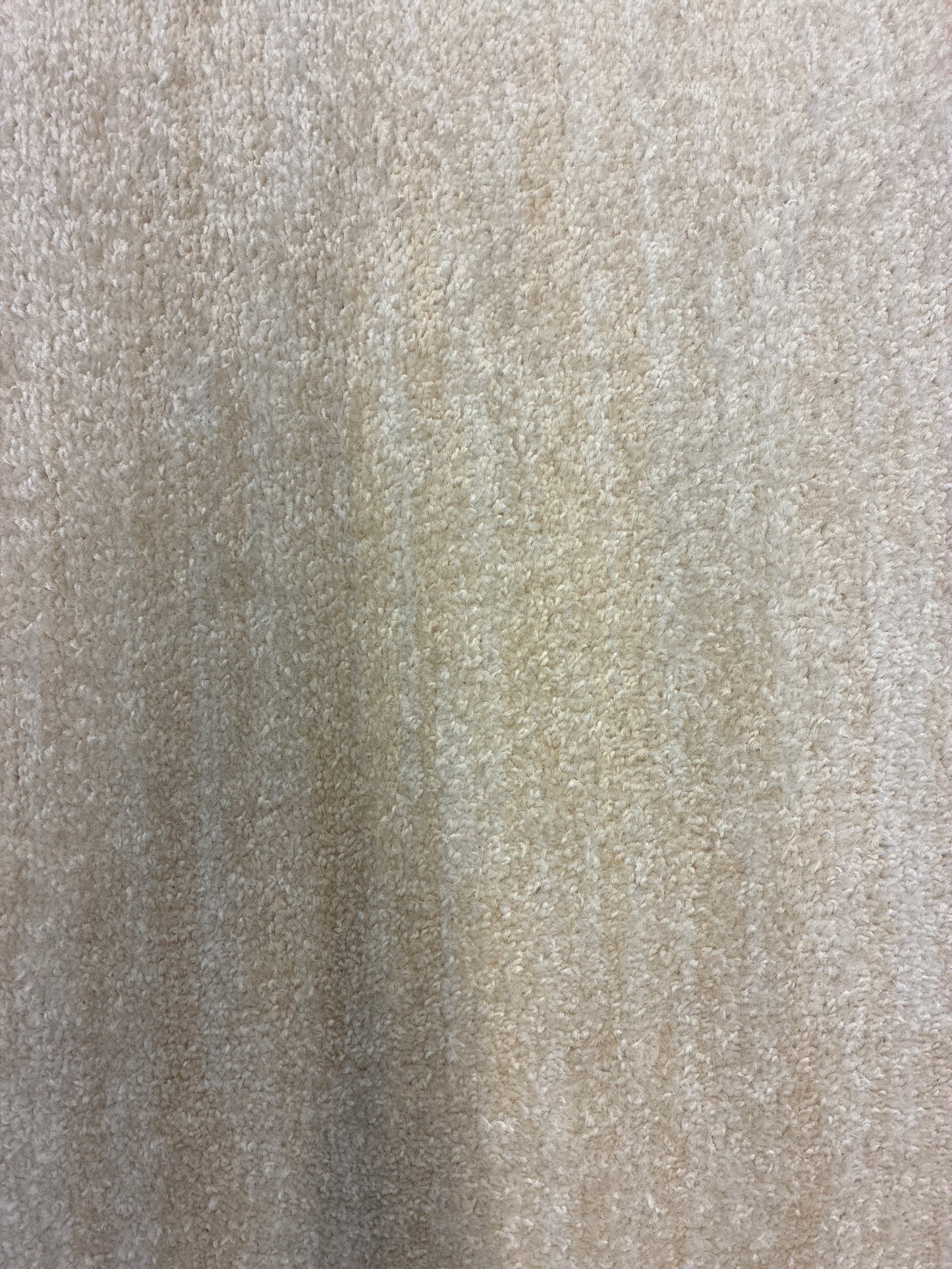 9 x 12 Rug - Nourison Beige