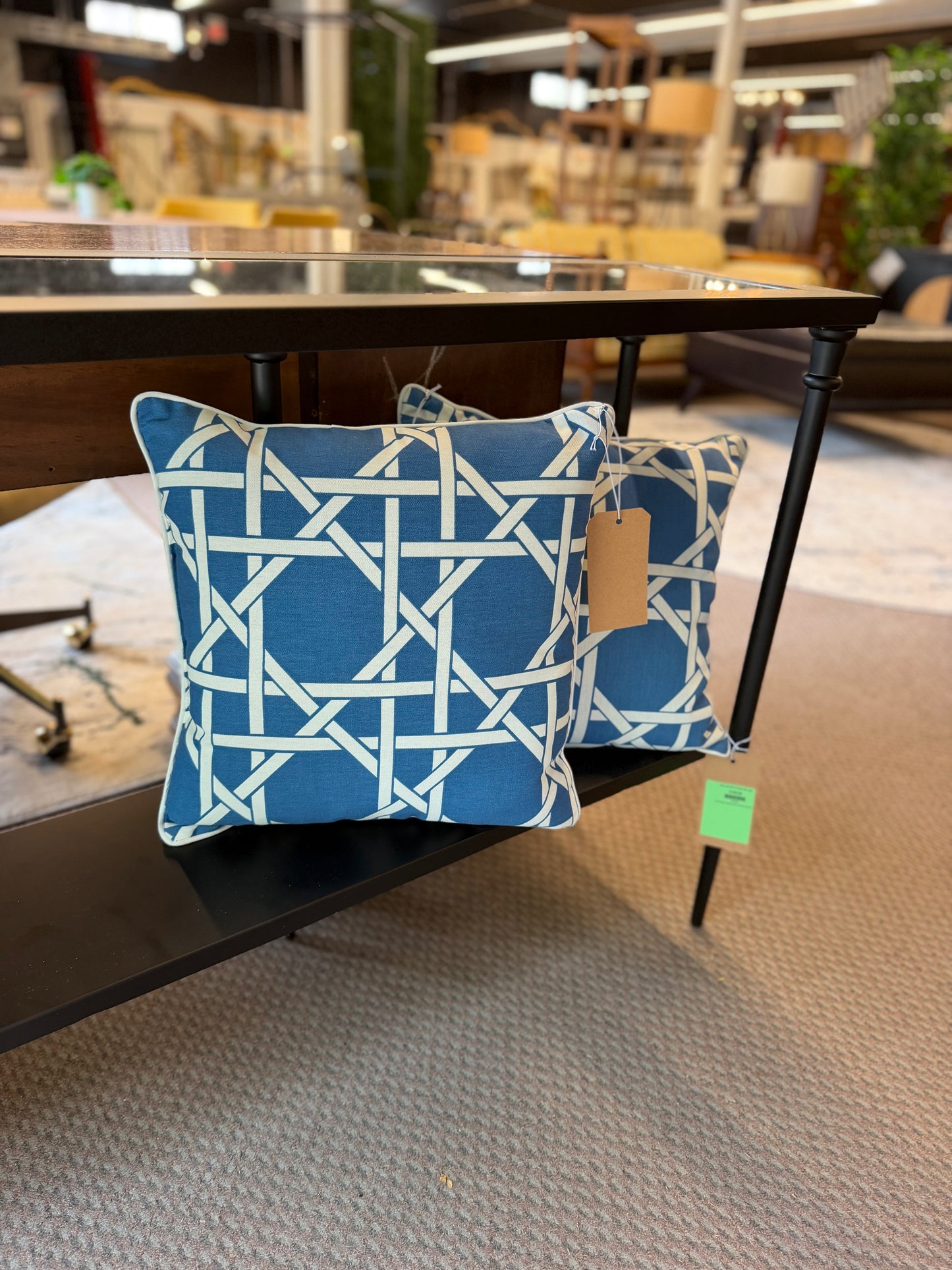 Outdoor Throw Pillow *donated