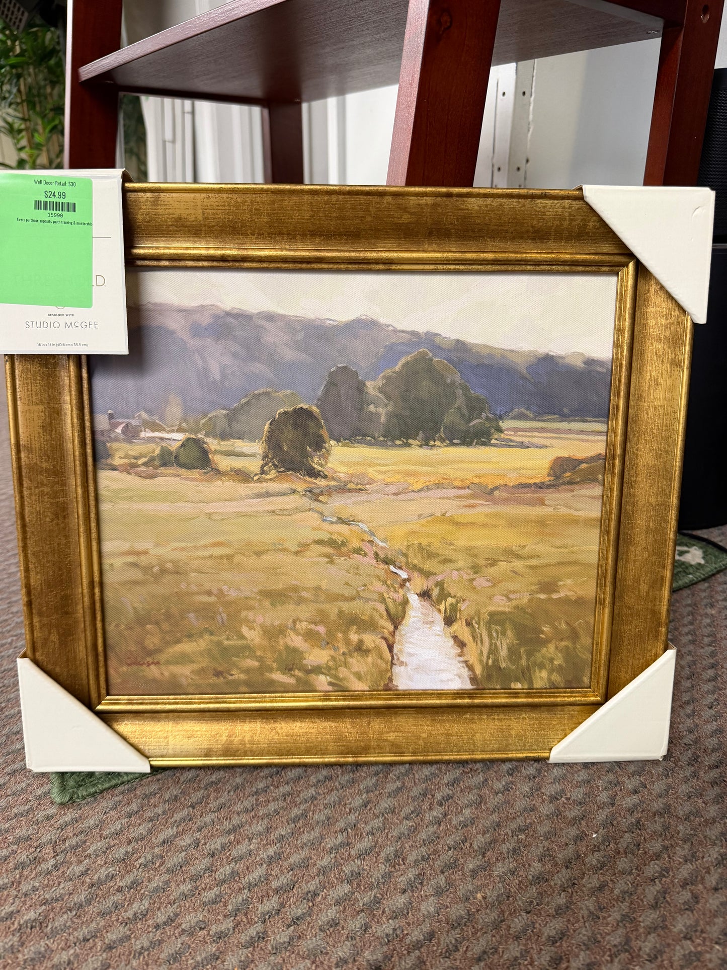 Wall Decor Retail: $30
