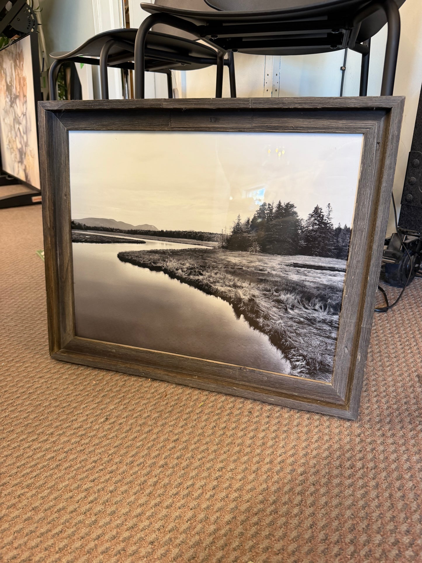 Framed Photo *Donated