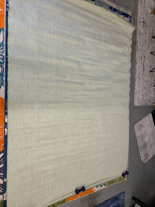 9 x 12 lime indoor/outdoor rug