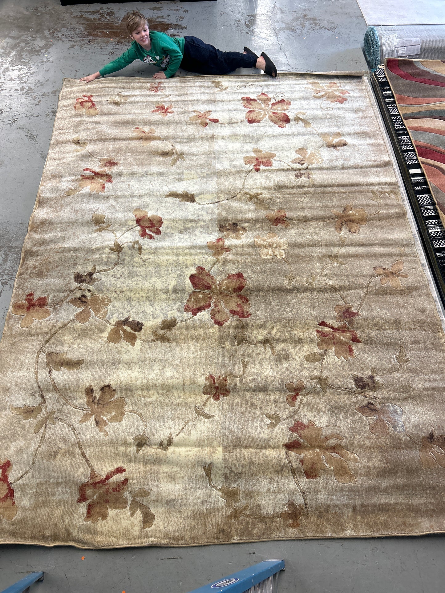 9 x 12 Area Rug Hawthorne | ID 14171