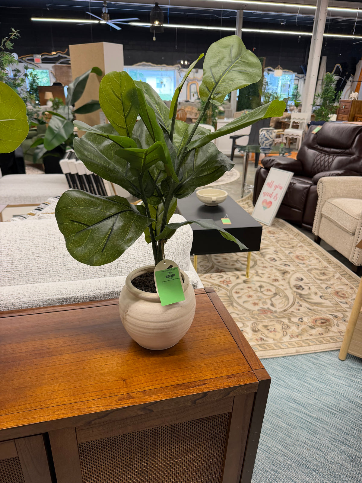 Accent Faux Plant Potted Retail: $30