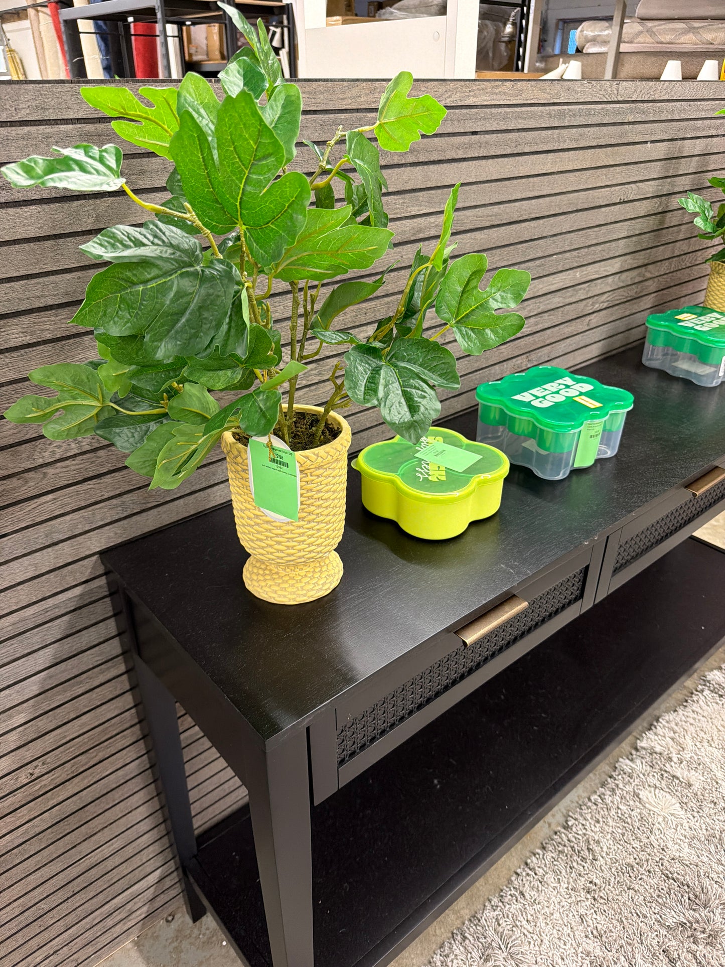 Fig Leaf Arrangement Retail: $30