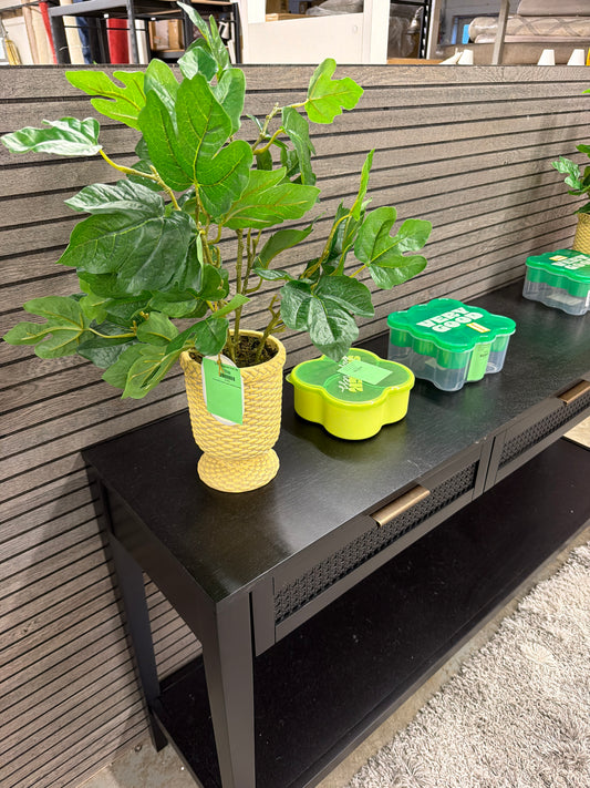 Fig Leaf Arrangement Retail: $30