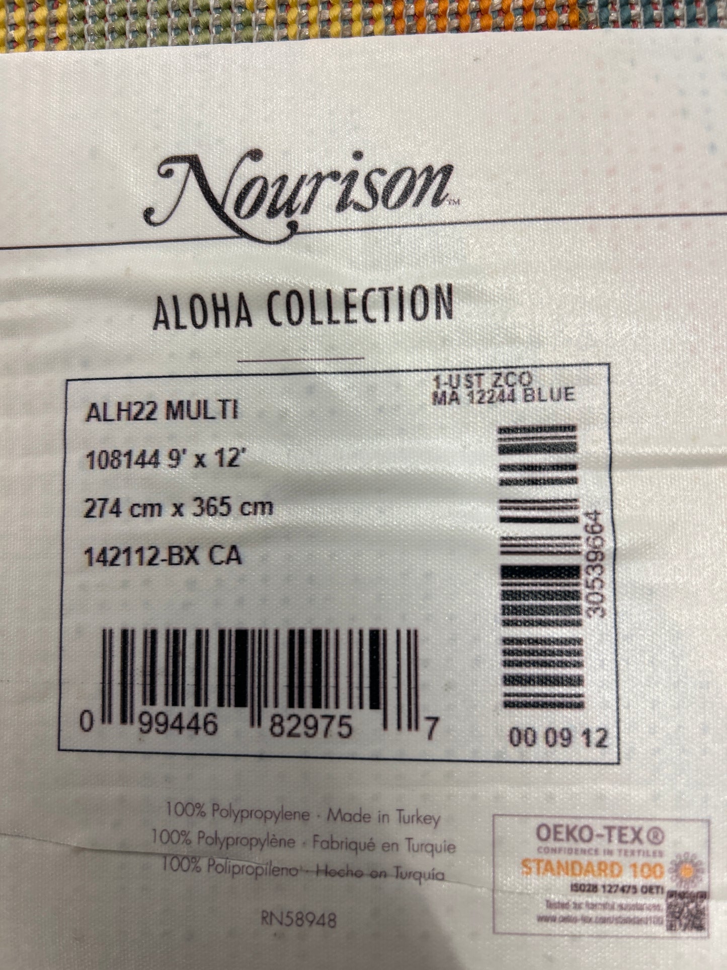 9 x 12 Nourison Aloha Multi-Colored Area Rug (indoor/outdoor)