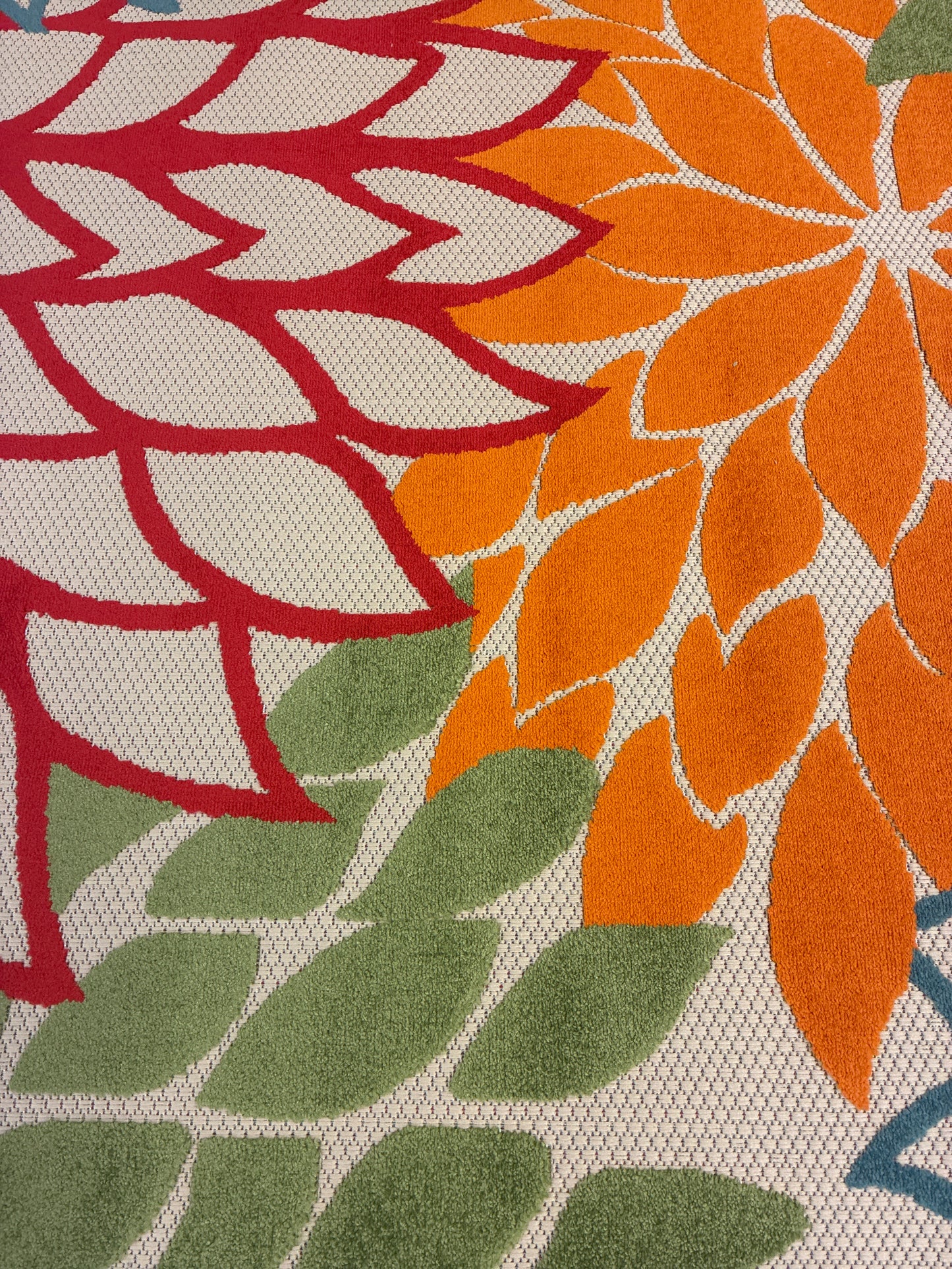 9 x 12 Rug - Nourison Indoor Outdoor