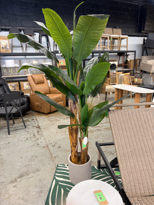72" Artificial Banana Tree in Cement Pot - Threshold — Retails elsewhere for $220 | Highly Rated *as is (chip in back of pot)