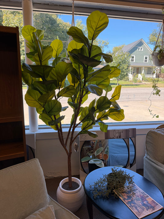Artificial Fiddle Leaf Retail: $150